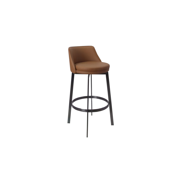 Bar Stool (6)BC120