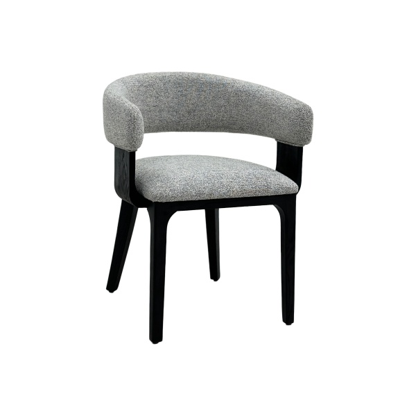 CC2506 Dinning chair