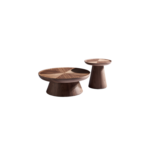 Coffee Table (28)CT497