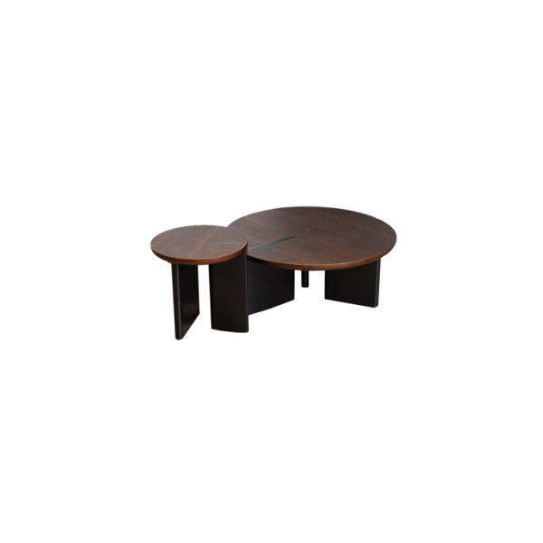 Coffee Table (31)CT500