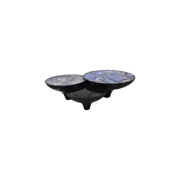 Coffee Table (32)CT501