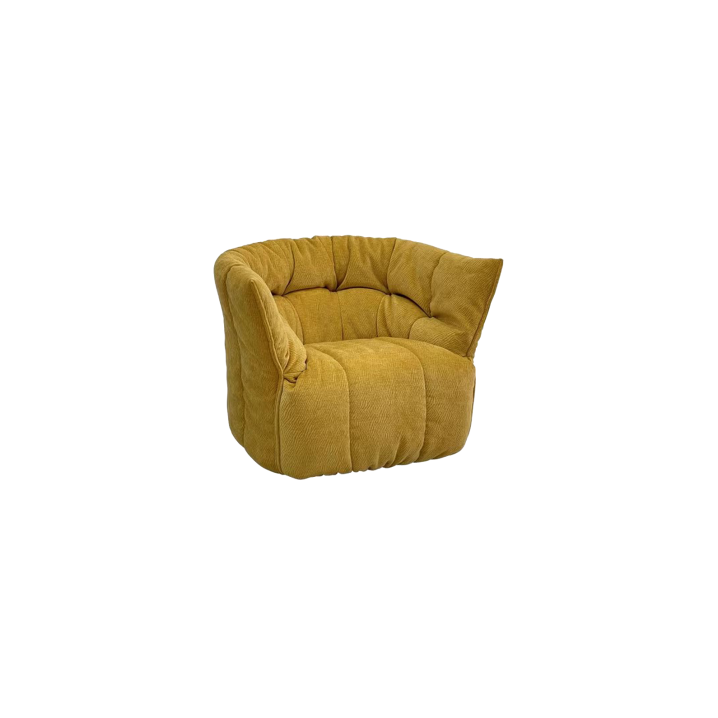 Lounge Chair (12)CS521