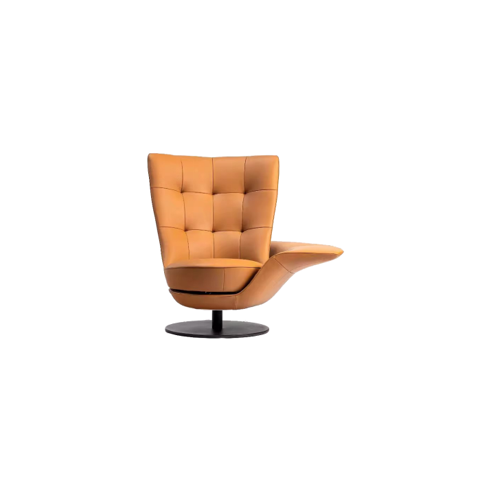 Lounge Chair (14)CS523