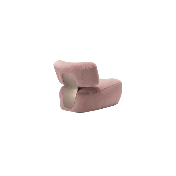 Lounge Chair (18)CS527