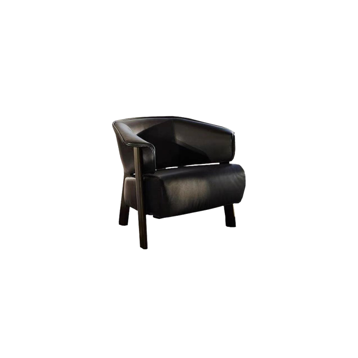 Lounge Chair (1)CS510