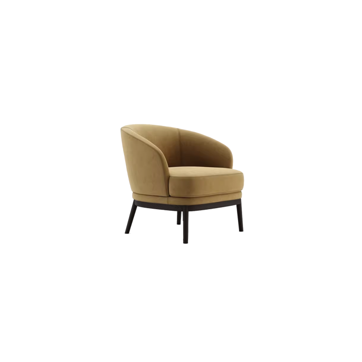 Lounge Chair (23)CS532