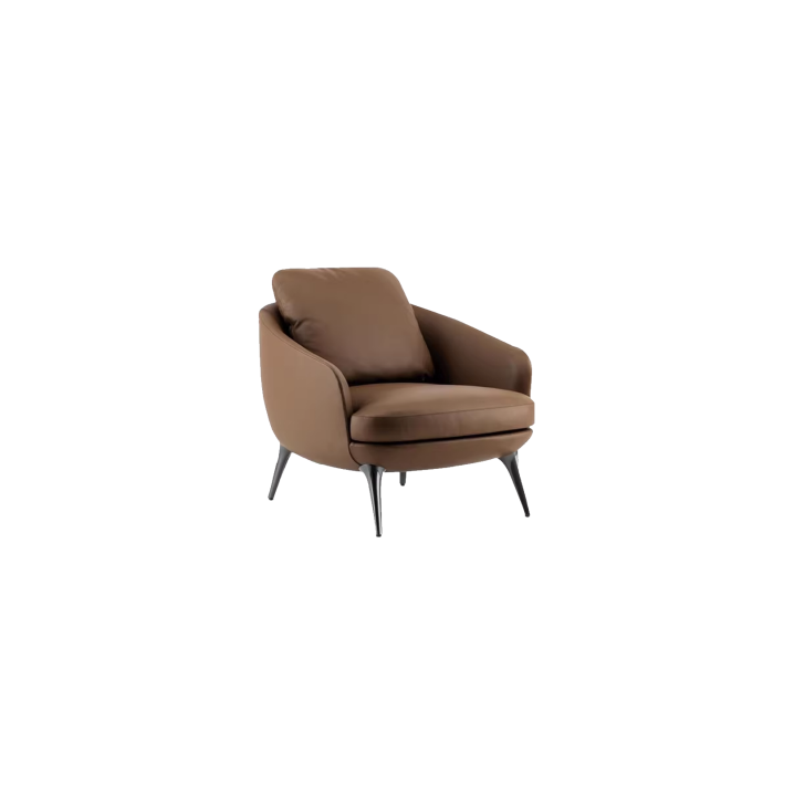 Lounge Chair (27)CS536
