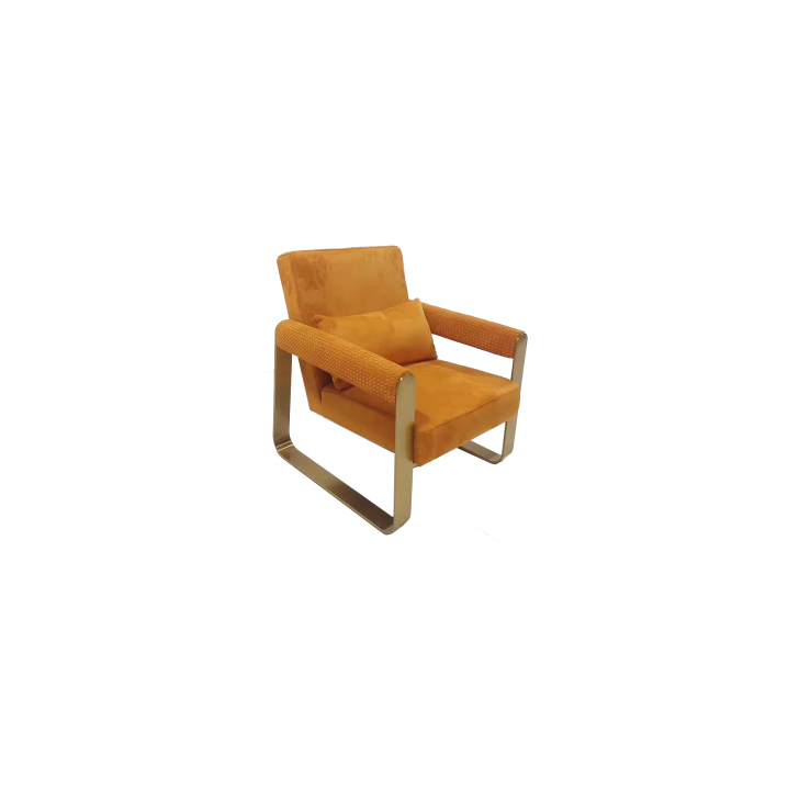 Lounge Chair (30)CS539