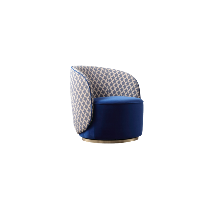 Lounge Chair (33)CS542
