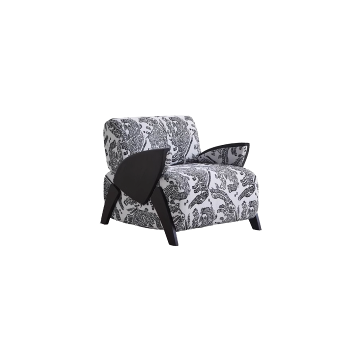 Lounge Chair (7)CS516