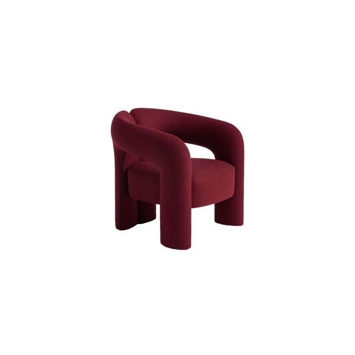 Lounge Chair (9)CS518