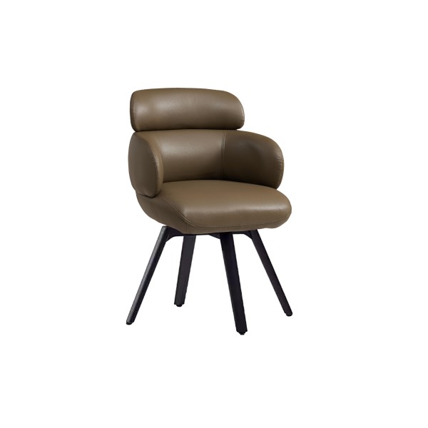 dining chair (15)CC704