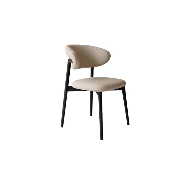 dining chair (34)CC723