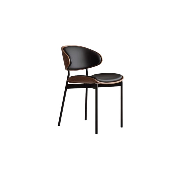 dining chair (35)CC724