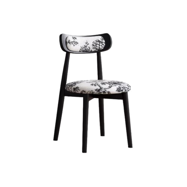 dining chair (5)CC694