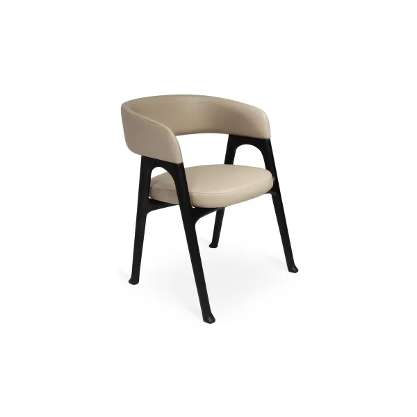 Dining chair (15)CC594_
