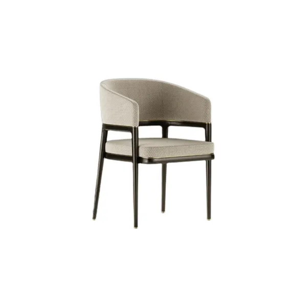Dining chair (16)CC595