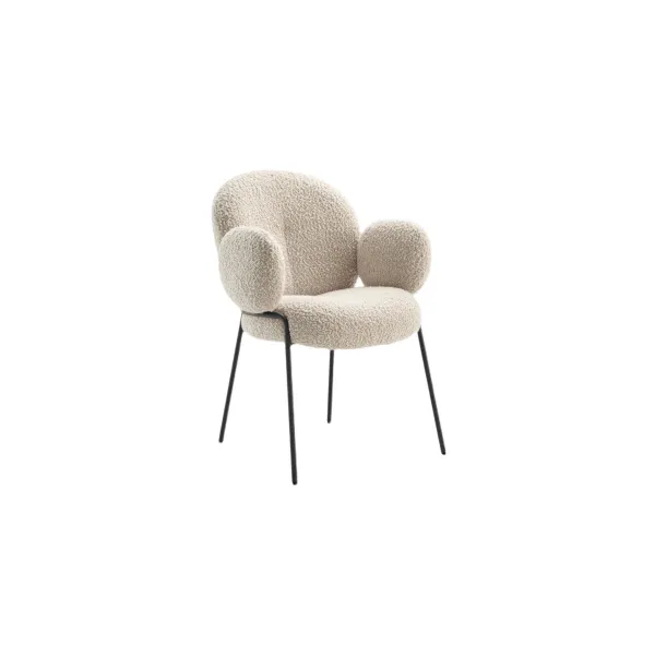 Dining chair (19)CC598_