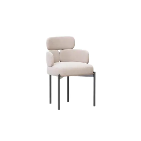 Dining chair (20)CC599_