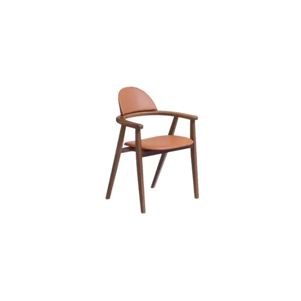 Dining chair (66)CC680_