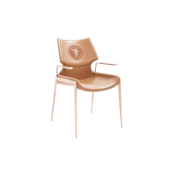 Dining chair (6)CC585_