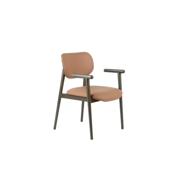 Dining chair(31)CC607