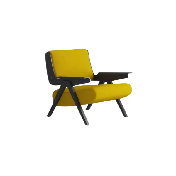 Lounge Chair (14)CS413