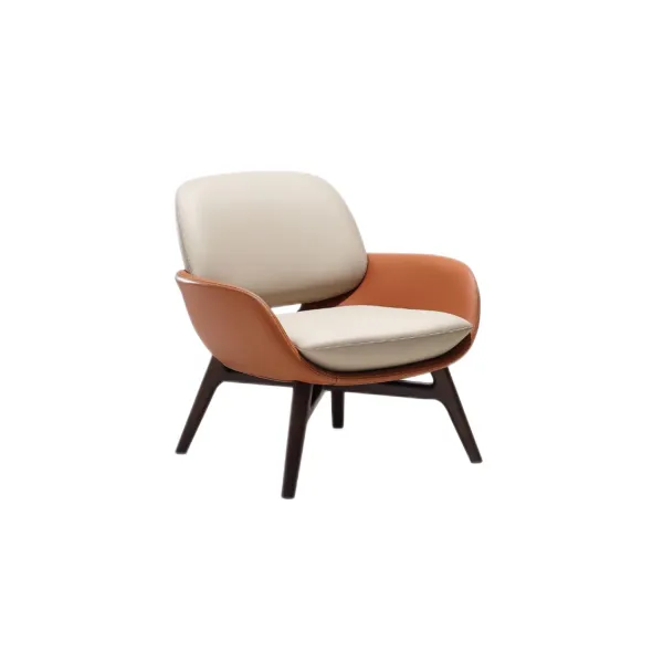 Lounge Chair (17)CS416