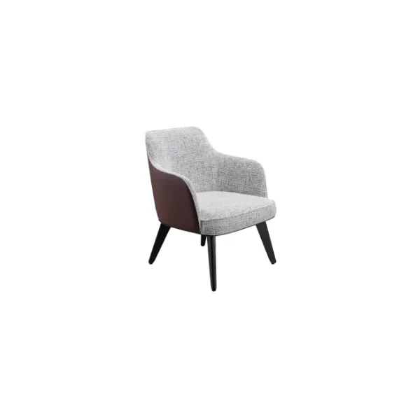 Lounge Chair (17)CS451