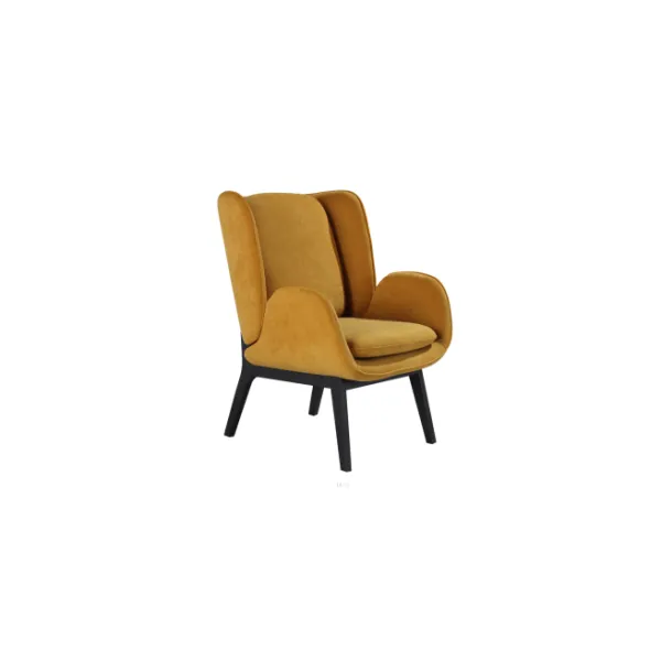 Lounge Chair (19)CS453