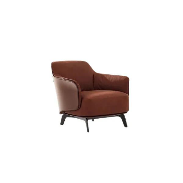 Lounge Chair (20)CS419