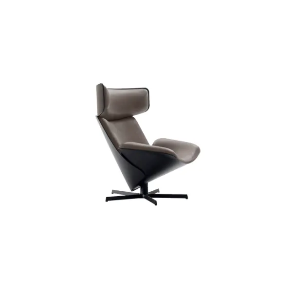 Lounge Chair (27)CS461