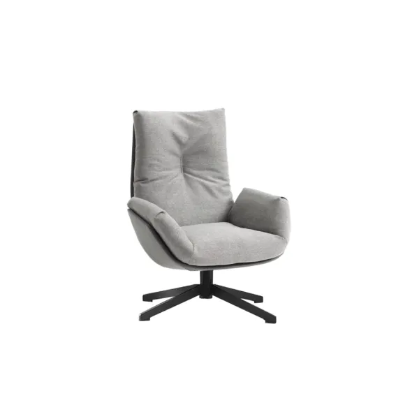 Lounge Chair (33)CS432