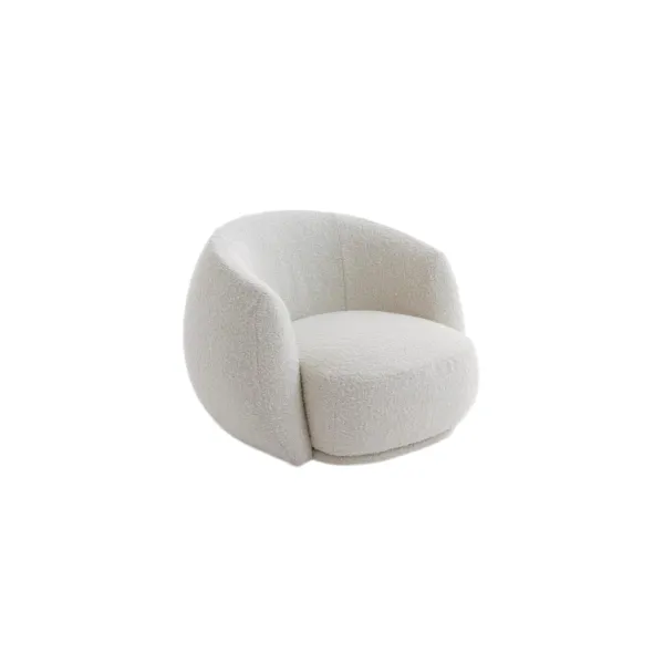 Lounge Chair (9)CS408