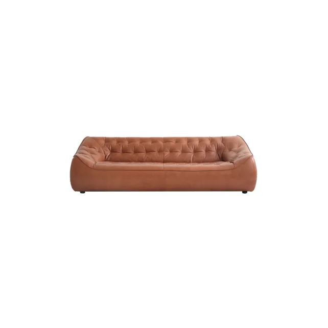 Sofa (21)AI158