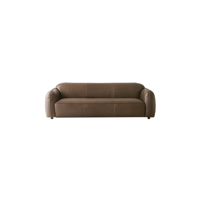 Sofa (4)AI141_